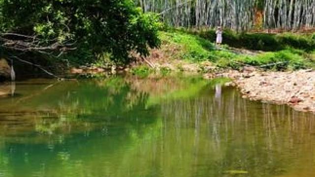 惠州博罗下河村附近免费溯溪野营地，有大片竹林和鹅卵石滩，水质清澈见底，广深莞过去都是一个半小时左右！