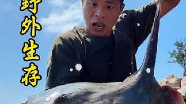 野外生存 第34集｜台风过后的回水湾冲来了不少海货#户外 #野外生存 #探险 #户外美食 #灵芝蟹