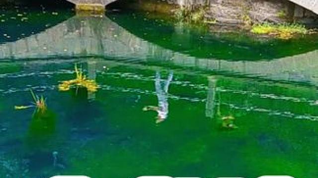 小龙池 #河南刚哥#志刚在路上#随拍