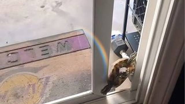 还知道回家呢！