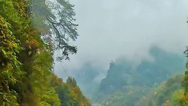 国道209（苏北线）湖北神农架林区段沿途景色 #公路旅行   #最美的风景在路上  #旅行推荐官 #