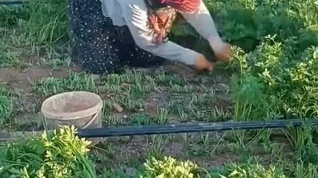 记录农村生活 片段