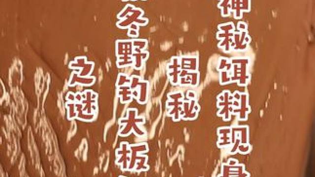 神秘饵料现身，竟是菜市场常见物？揭秘秋冬野钓大板鲫之谜 神秘饵料现身，竟是菜市场常见物？揭秘秋冬野钓