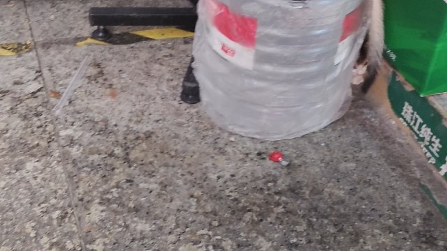 可爱的小奶猫。