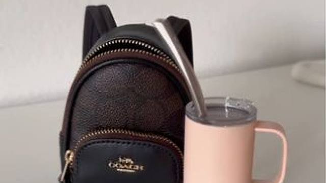 沉浸式收纳整理｜精致女人沉浸式整理出门迷你物品vlog～✨☺️ 
#解压视频 #收纳整理 #强迫症的