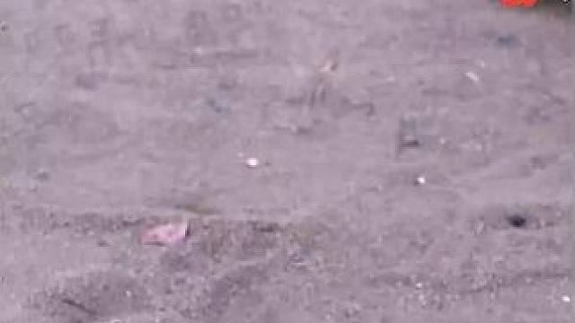 下载《西瓜视频》，免费观看精彩后续/精彩海量免费短剧免费看......下载《西瓜视频》，免费观看精