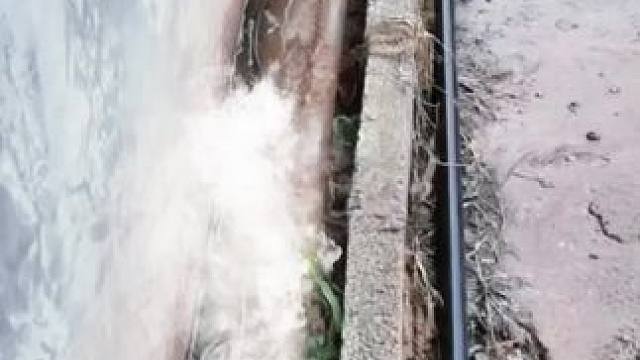 盘州境内出现罕见剧毒白头蝰，据说比五步蛇更毒，没有抗毒血清，户外出行一定要注意安全#户外 #意不意外