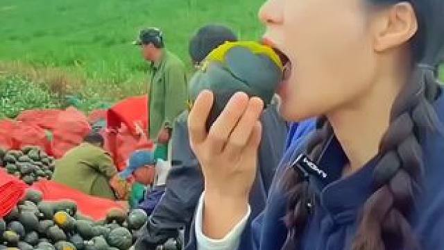 #贝贝南瓜#现摘现发新鲜到家 #优质农产品