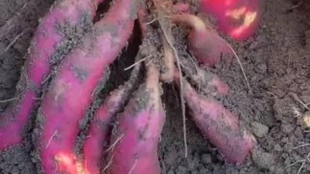 #小小心意轻松拿捏 #保持热爱奔赴山海 #在秋天爱上烟火气 #秋天是我最爱的季节 #每次遇见都是有温