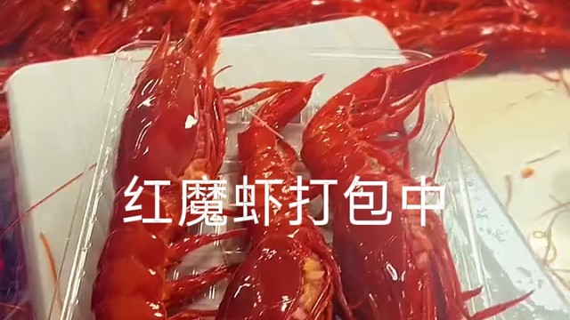 红魔虾打包