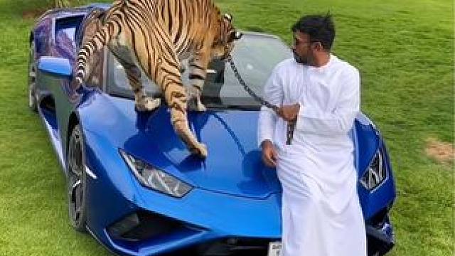 头顶一块布天下我最富~