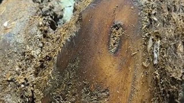 牛蹄界的喷泉当之无愧#解压 #修牛蹄