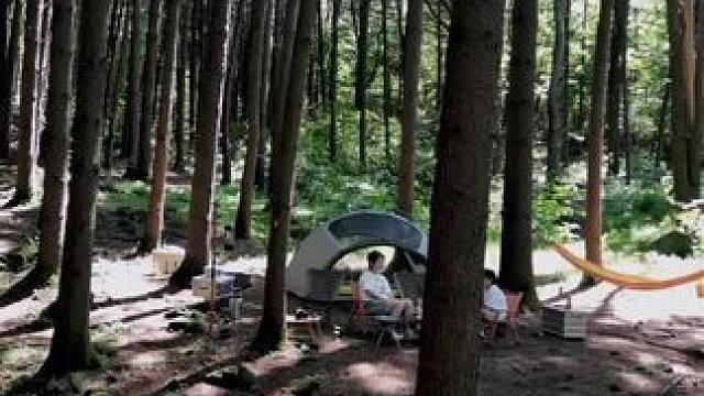 小树林里的惬意 #谁会拒绝感受大自然呢 #露营报告