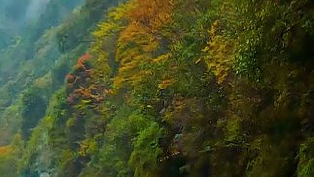 国道209（苏北线）湖北神农架林区段沿途景色 #公路旅行  #最美的风景在路上 #旅行推荐官 #神农