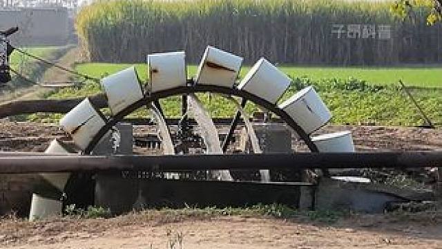 水牛灌溉，利用水车在井底取水！