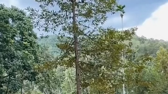 接得真准[赞][赞][赞][赞]