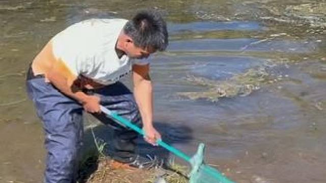 #户外捕鱼 #好大一条鱼