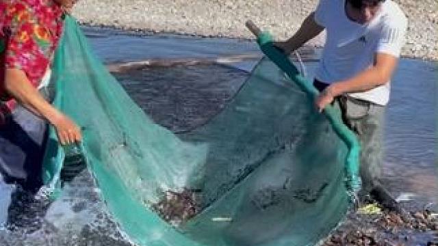 #户外捕鱼 #好多鱼