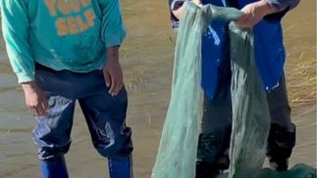 #户外捕鱼 #好多鱼