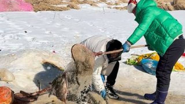 #户外捕鱼 #好多鱼