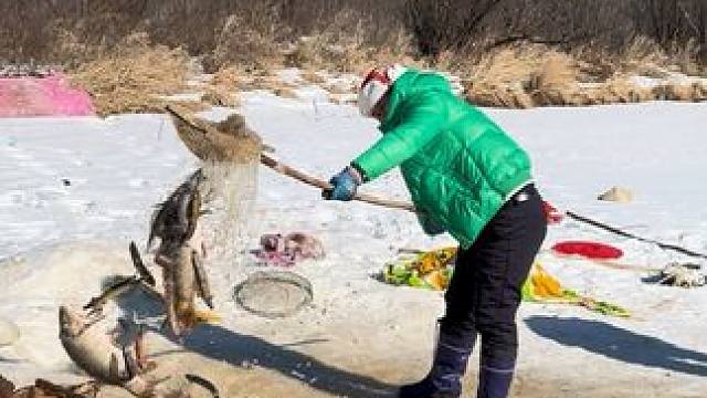 #户外捕鱼 #好多鱼