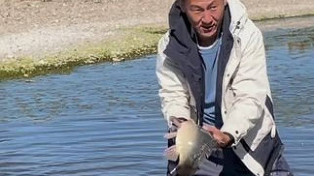 #户外捕鱼 #好大一条鱼