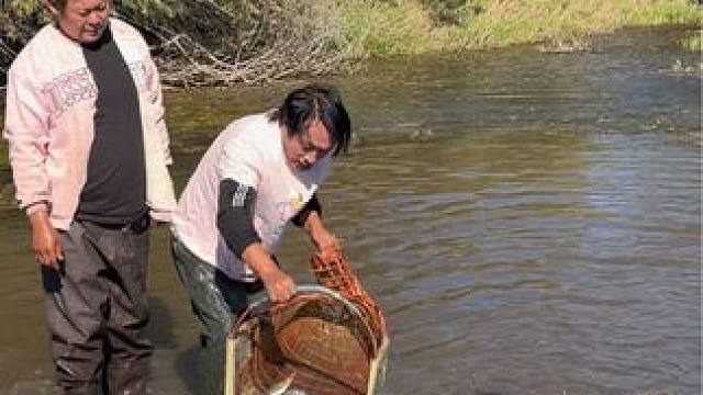 #户外捕鱼 #好多鱼