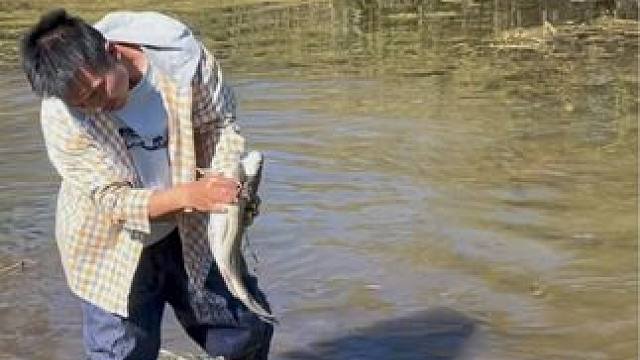 #户外捕鱼 #好大一条鱼