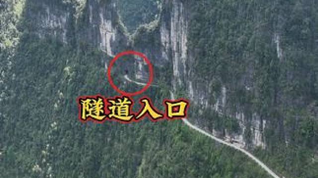 大山深处的一栋老楼房，周围杂草丛生人去楼空，连回家的路都找不到只就下一座空壳在这深山里！