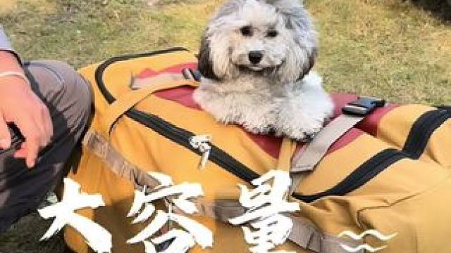 户外露营，东西杂乱无章不好收纳，自驾旅行装备多，加大容量收纳包它来了#户外露营 #出差旅行必备 #旅