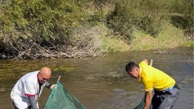 #户外捕鱼 #好多鱼