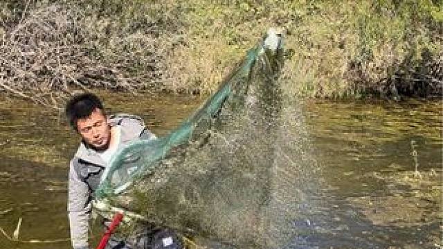 #户外捕鱼 #好大一条鱼