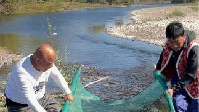 #户外捕鱼 #好多鱼