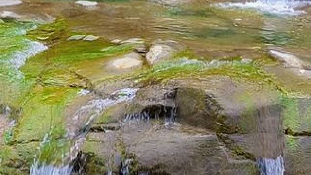 红豆杉大峡谷 #河南刚哥 #志刚在路上#随拍