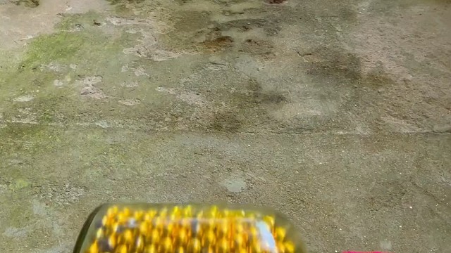 楼梯滚瓶子爆破解压时刻