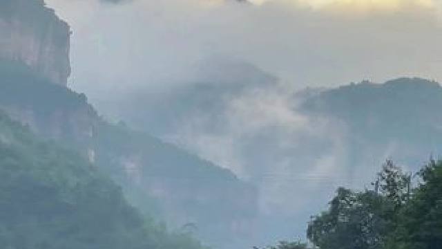 世间万物都在治愈你，唯独你自己不肯放不过自己！