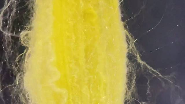 #私人定制 #黄金蜘蛛丝制衣 #手工制作 #匠心精神 #琴弦 #医疗 #军工 #航天