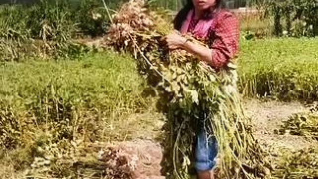 山卡卡里的农村大姐学费了开直播每天收获满满您还在恐播怕播不敢开播开播了不知说什么吗#记录真实生活 #