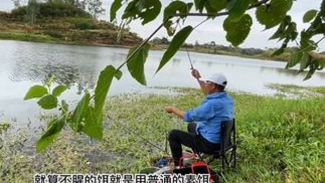 一招搞定小杂鱼钓鱼人的绝技纯干货分享钓友福音 一招搞定小杂鱼
钓鱼人的绝技
纯干货分享
钓友福音#鱼