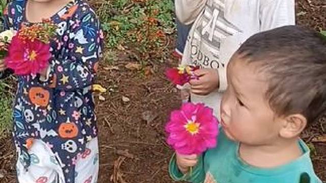 今天带四个孩子去捡菌。#记录真实生活