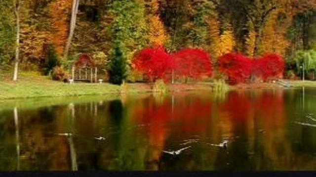 朋友们好。祝大家周末玩的开心快乐。请大家看秋天的风景，欣赏歌曲，（不如见一面）#落叶知秋风渐凉 #好