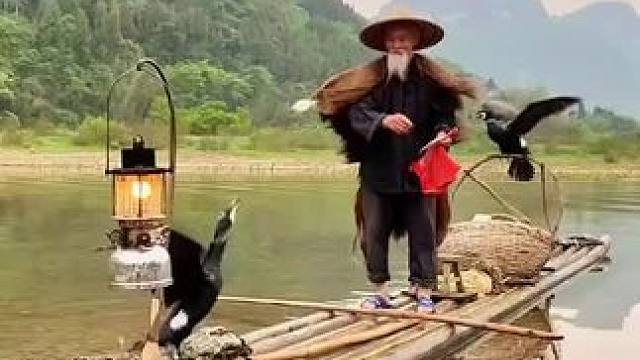 #游山玩水释放心情 #漓江渔翁 #这里是广西桂林 #旅行推荐官