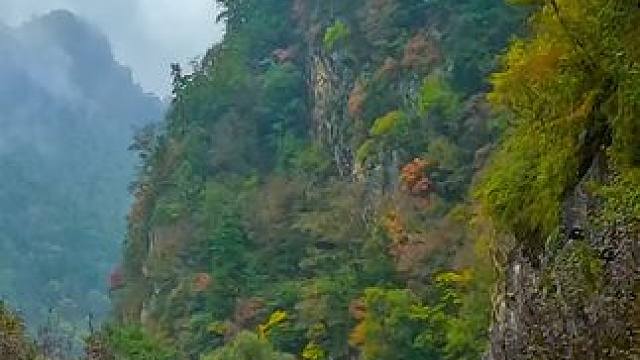 陕西安康市宁陕县户菜路沿途秦岭景色 #公路旅行  #最美的风景在路上 #旅行推荐官 #秦岭 #秋天的