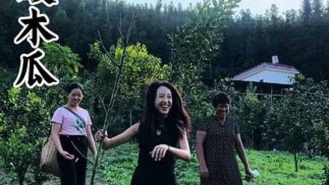 听说三包涮涮辣能辣倒一头牛，我今天试试6包是什么感觉！！！#木瓜#涮涮辣#地方特色美食#双凤#农村美