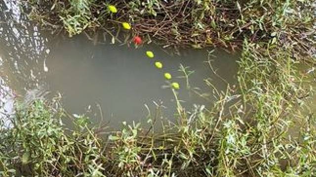 这个钓鱼牛，#钓鱼的乐趣只有钓鱼人懂 #真实户外 #爱生活爱钓鱼