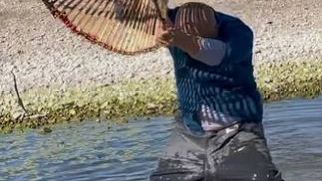 #户外捕鱼 #好大一条鱼