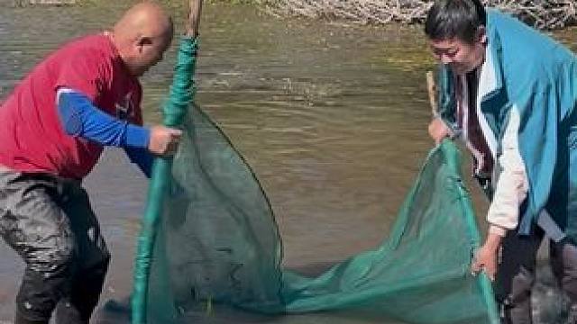 #户外捕鱼 #好多鱼