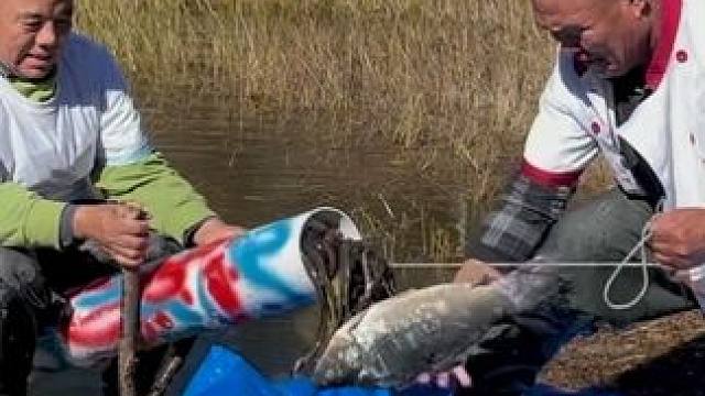 #户外捕鱼 #好多鱼