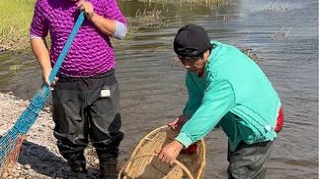 #户外捕鱼 #好多鱼