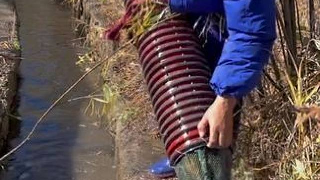 #户外捕鱼 #好多鱼